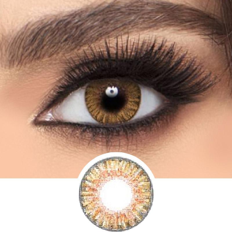 أنواع العدسات الطبية - cocyta.com 